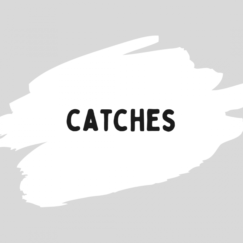 Catches
